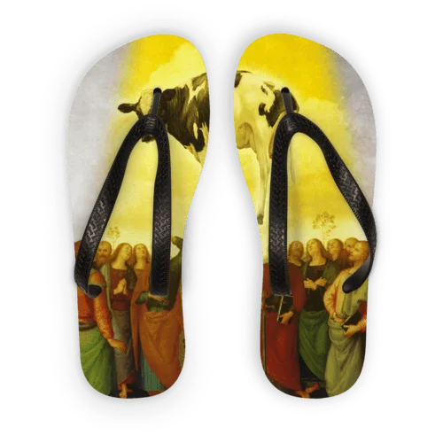 Abduction Adult Flip Flops